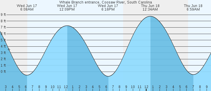 tide graph