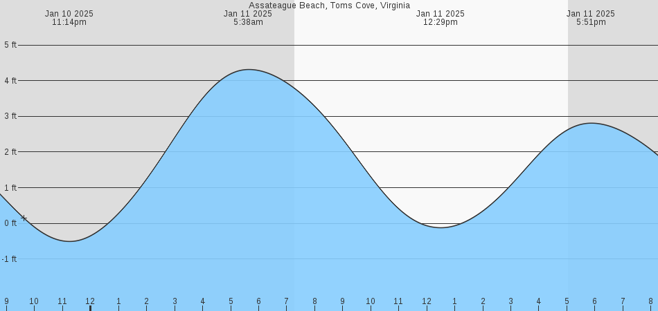 Assateague Beach, Toms Cove, VA Tides :: MarineWeather.net