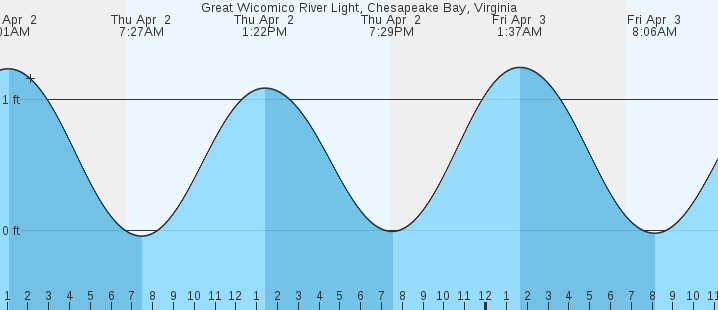 tide graph