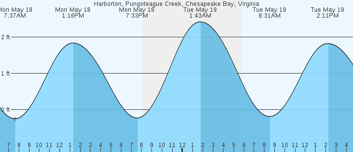 tide graph