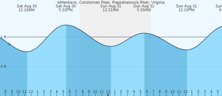tide graph