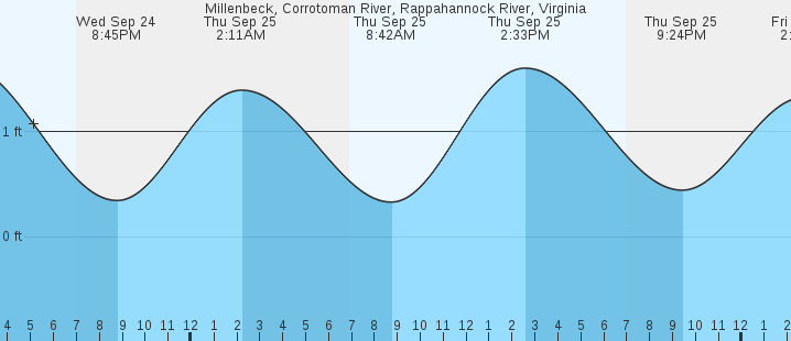tide graph