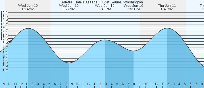 tide graph