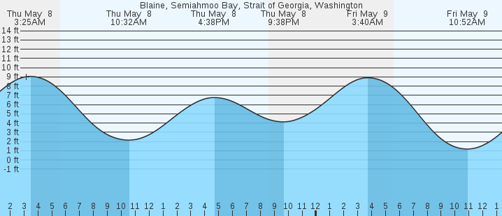 tide graph