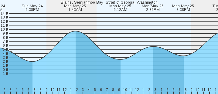 tide graph