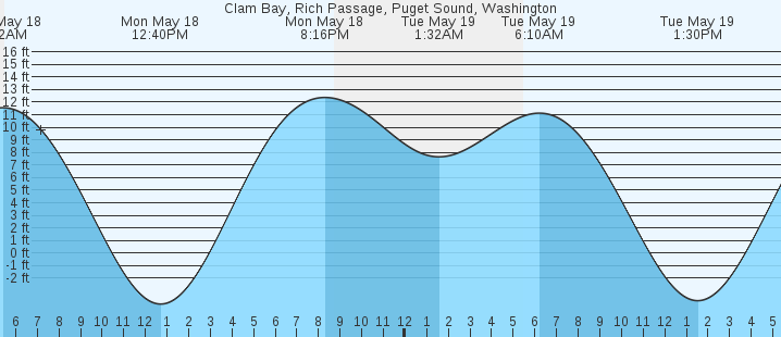 tide graph