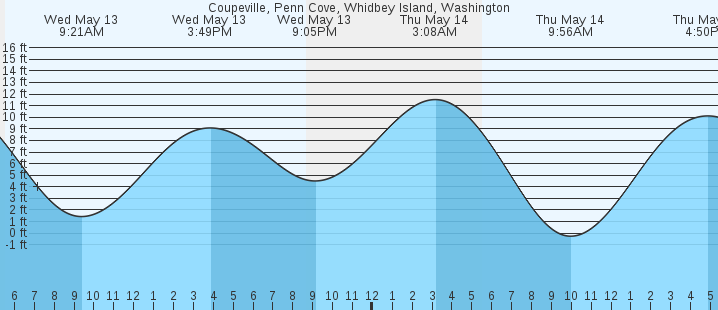 tide graph