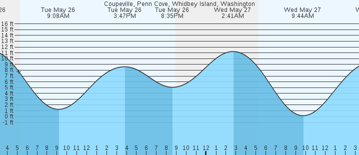 tide graph