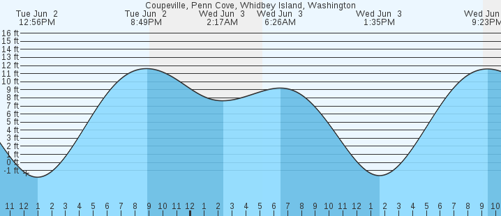 tide graph