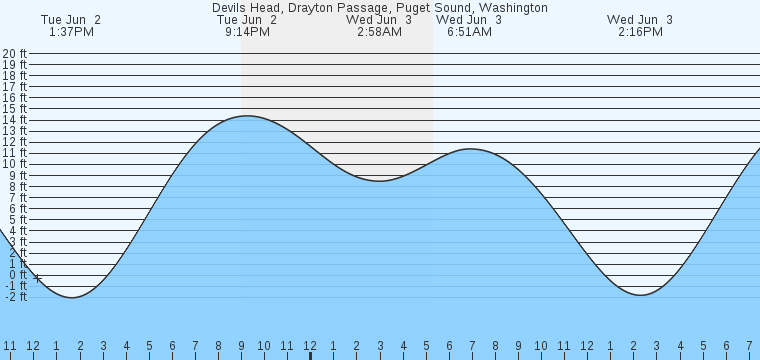 tide graph