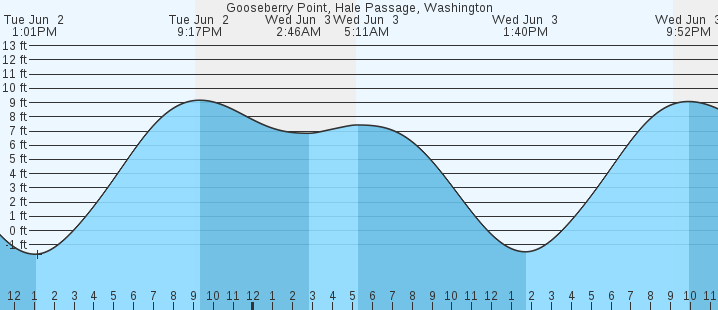 tide graph