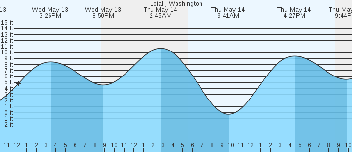 tide graph
