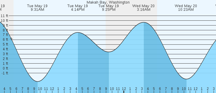 tide graph