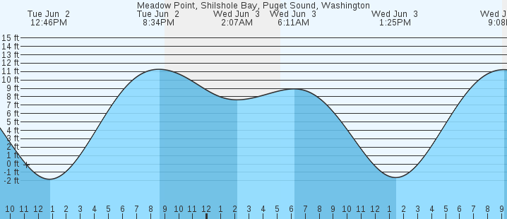 tide graph