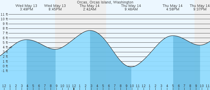 tide graph
