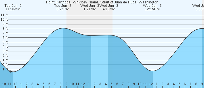 tide graph