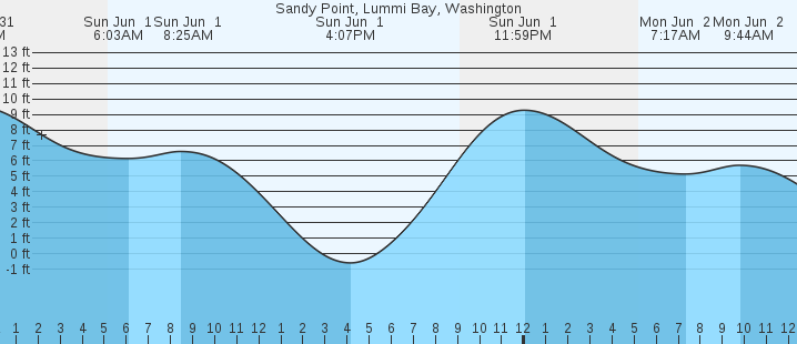 tide graph