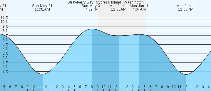 tide graph