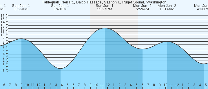 tide graph