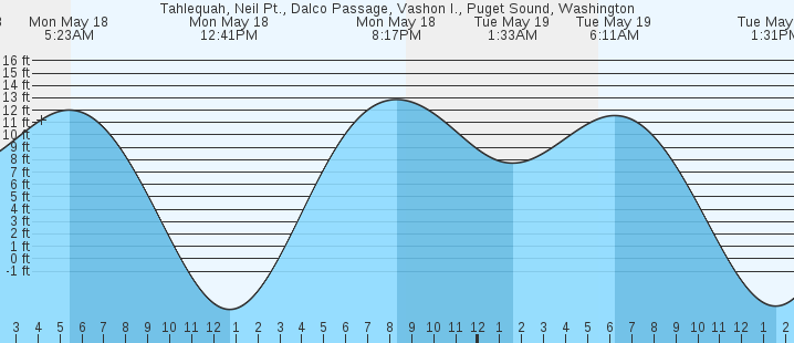 tide graph