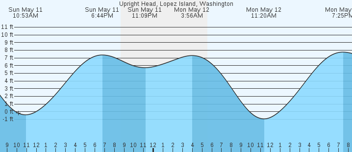 tide graph
