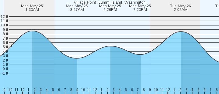 tide graph
