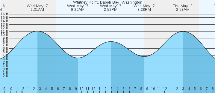 tide graph