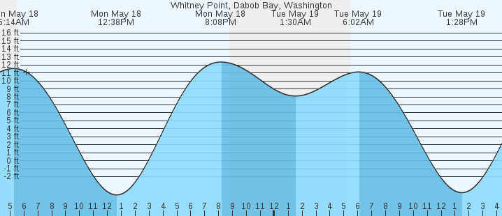 tide graph