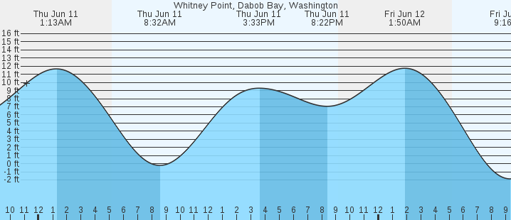 tide graph