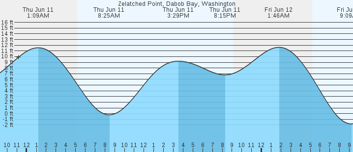 tide graph